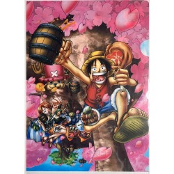Clear File One Piece