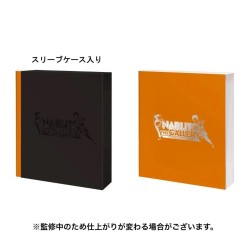 Naruto - Artbook Officiel - Naruto the Gallery - 20th Anniversary