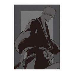 Bleach Ex. The Black Brochure