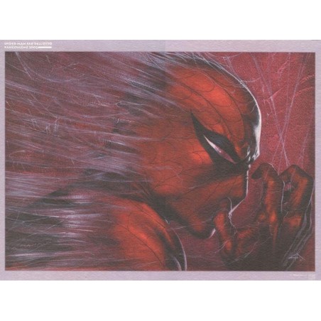 Affiche Spiderman