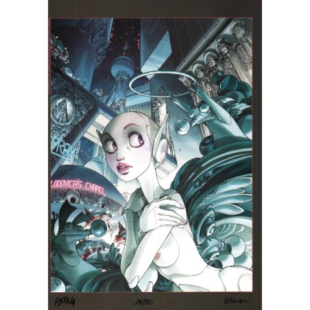Affiche Skydoll