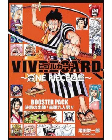 One Piece VIVRE CARD...