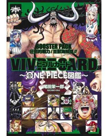 One Piece VIVRE CARD...